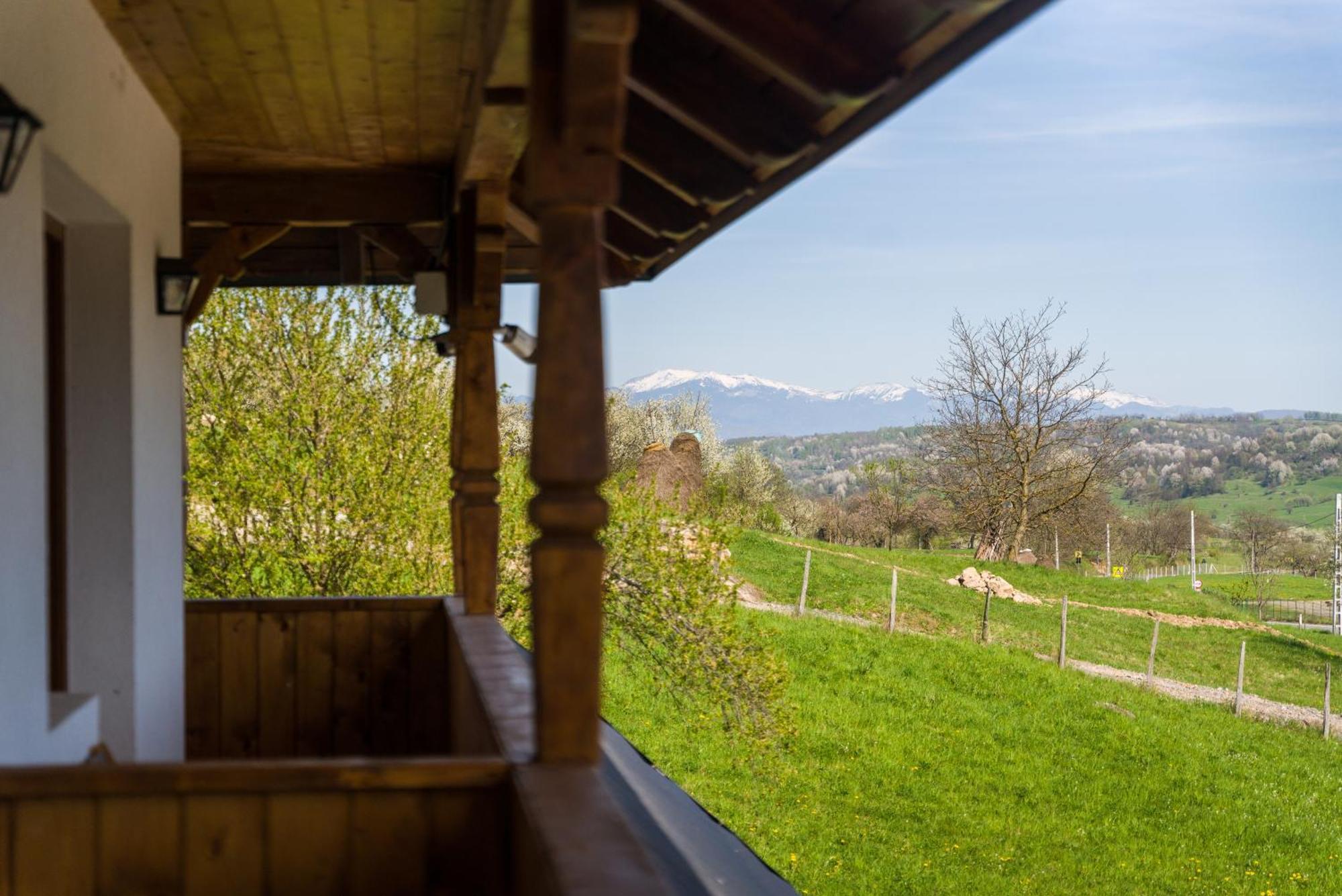 Pensiunea Roca Maramures Deseşti Exterior foto