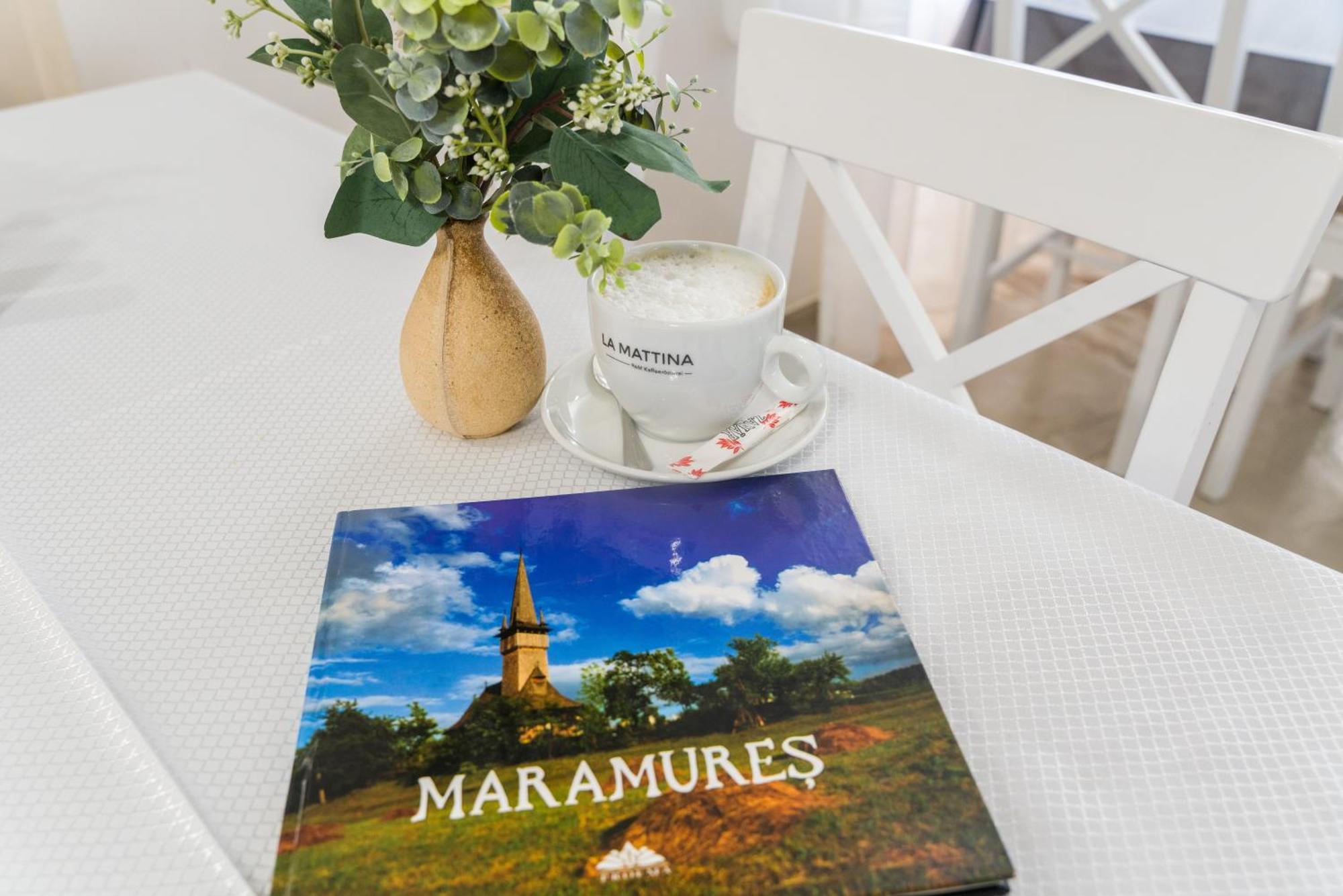 Pensiunea Roca Maramures Deseşti Exterior foto